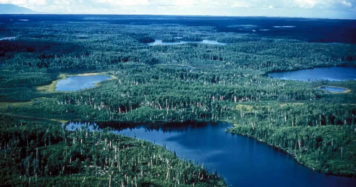 Kenai National Wildlife Refuge