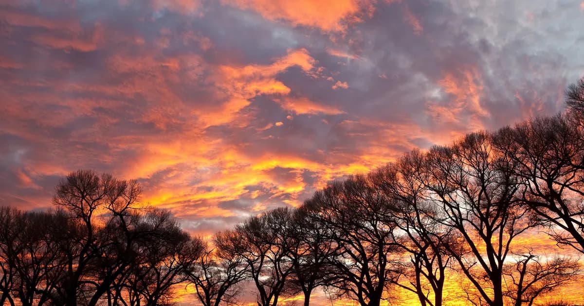 San Pedro Riparian National Conservation Area
