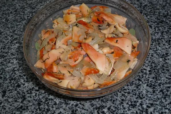 Chicken of the Woods (Laetiporus sulphureus) in Rhode Island habitat