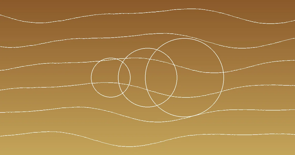 Yellow Morel vs Early False Morel in Wisconsin: Field Identification comparison hero