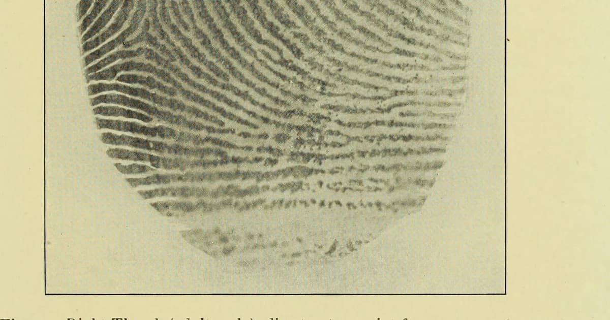 How to clean fossils without over-prepping tutorial hero