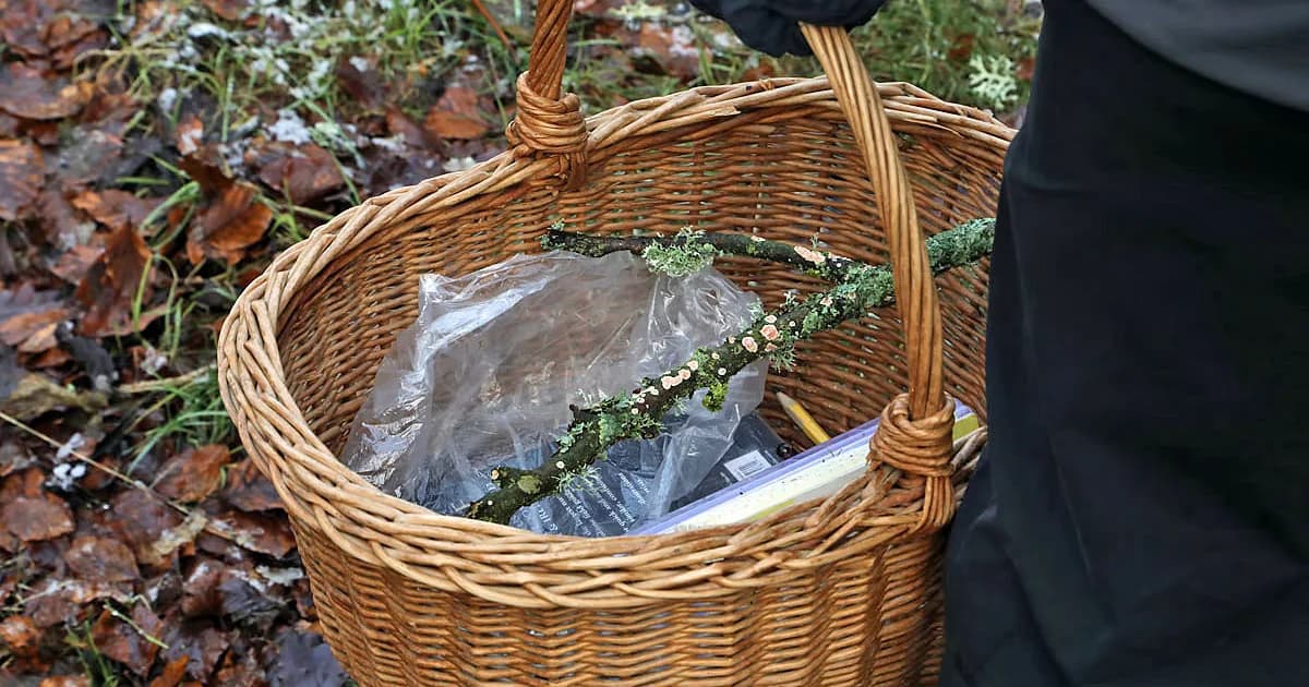 Recreation Area in New Jersey