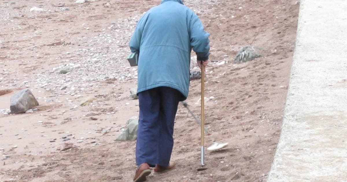 Maine Thimble signal guide hero