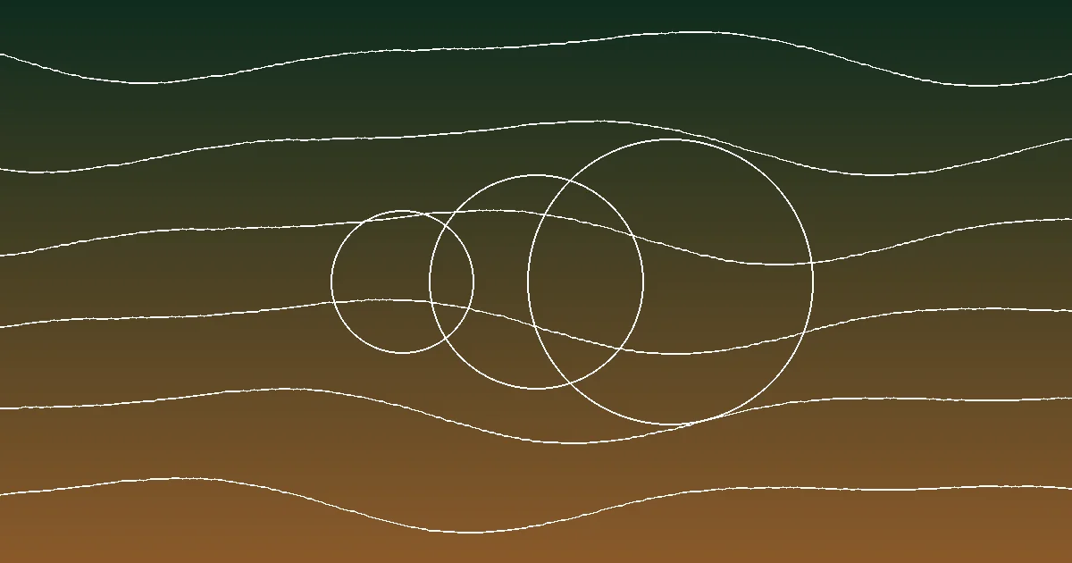 When does Illinois Yellow Morel grow? question hero