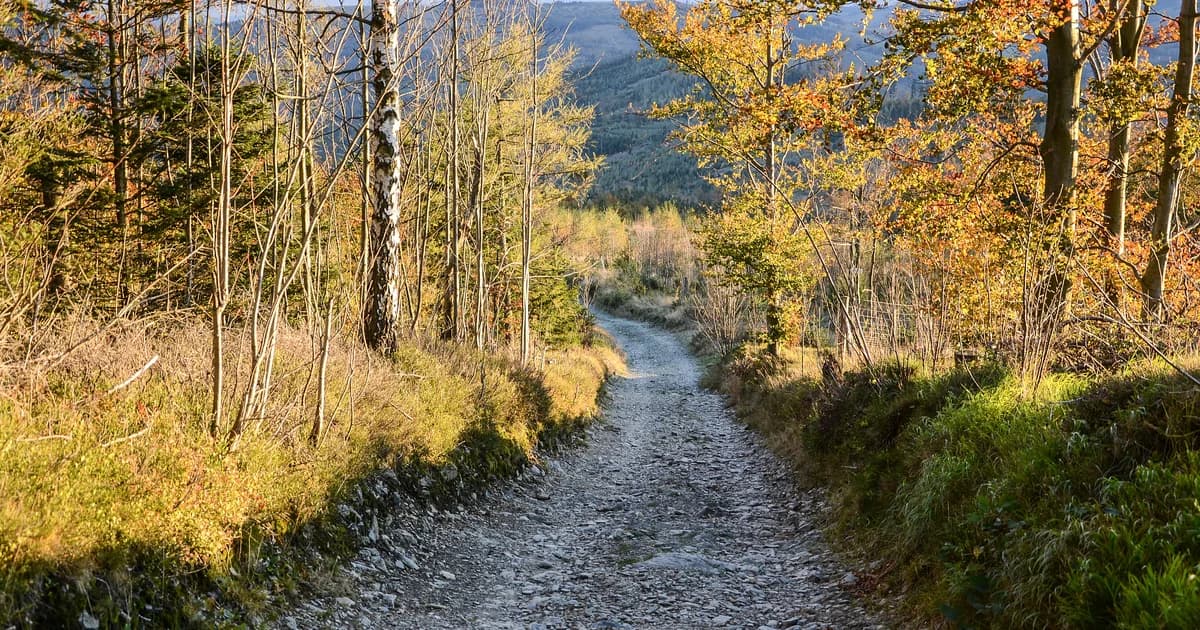 Trail and public land hero for route planning